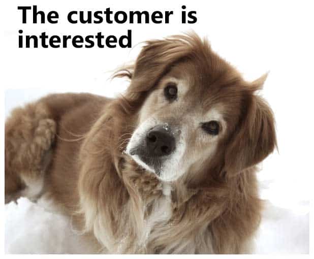 the-customer-is-interested