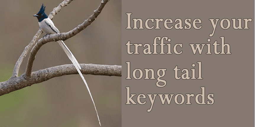 Increase traffic with long tail keywords