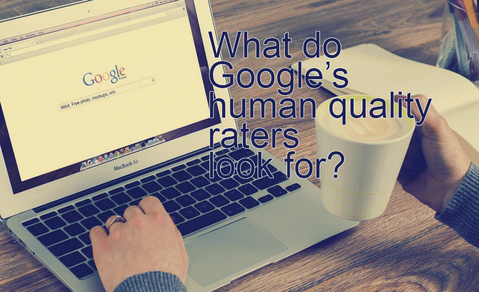 Word to the Google human quality raters look for?