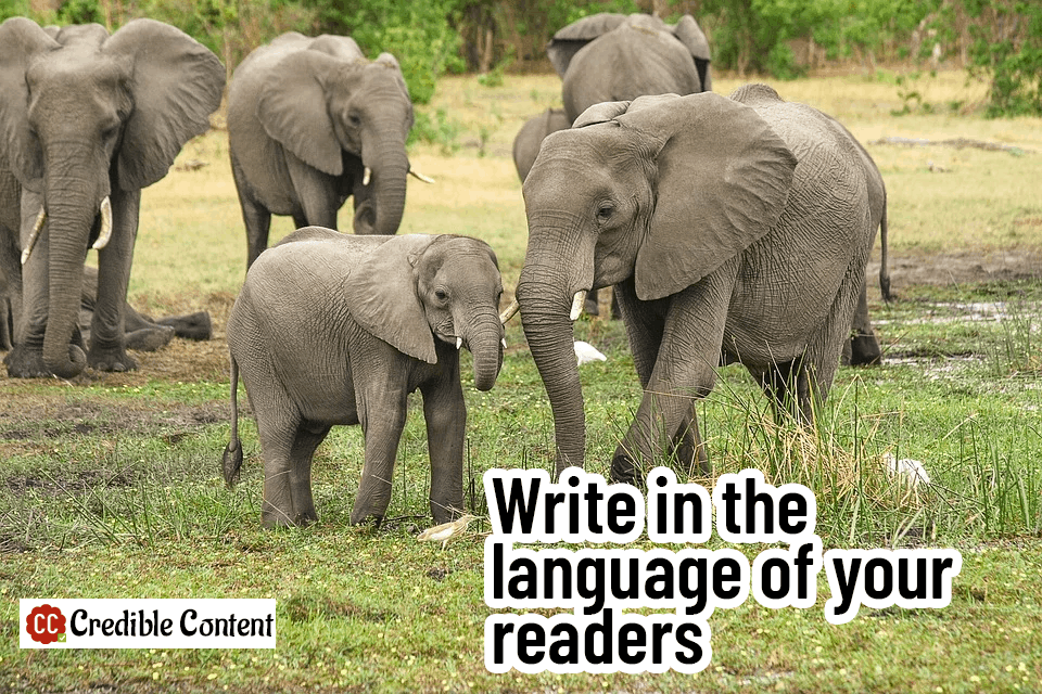 Write in the language of your readers
