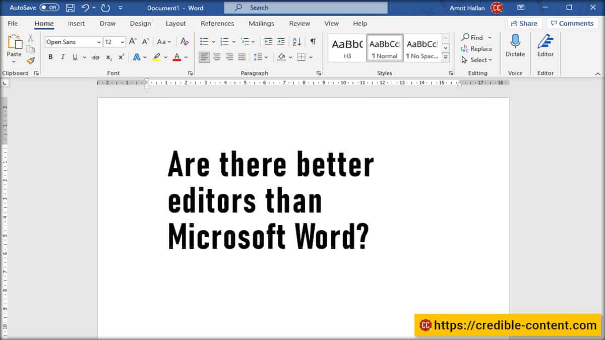 Are there better editors than Microsoft Word