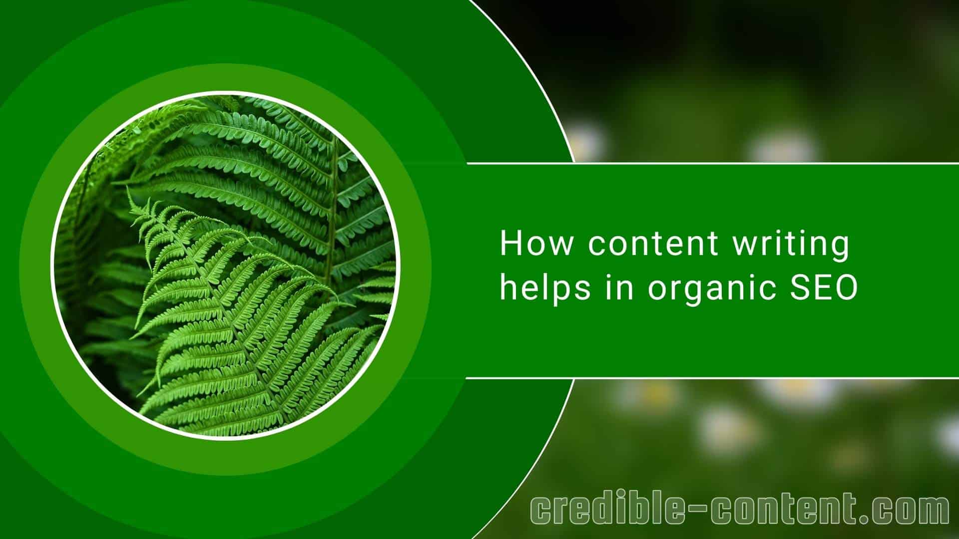How content writing helps in organic SEO