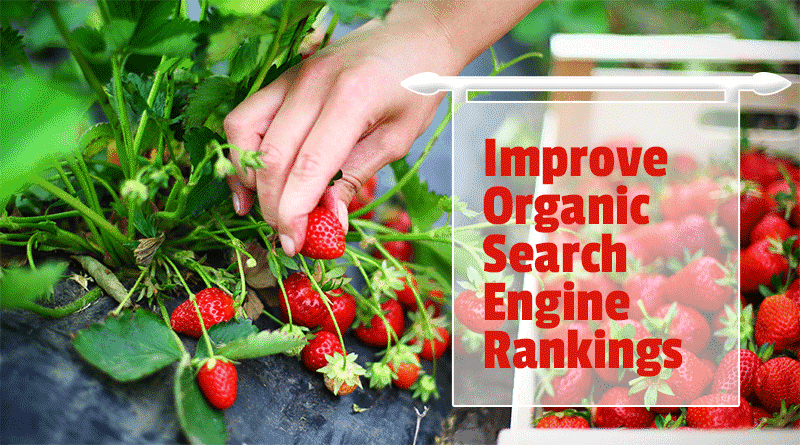 improve-organic-search-engine-rankings