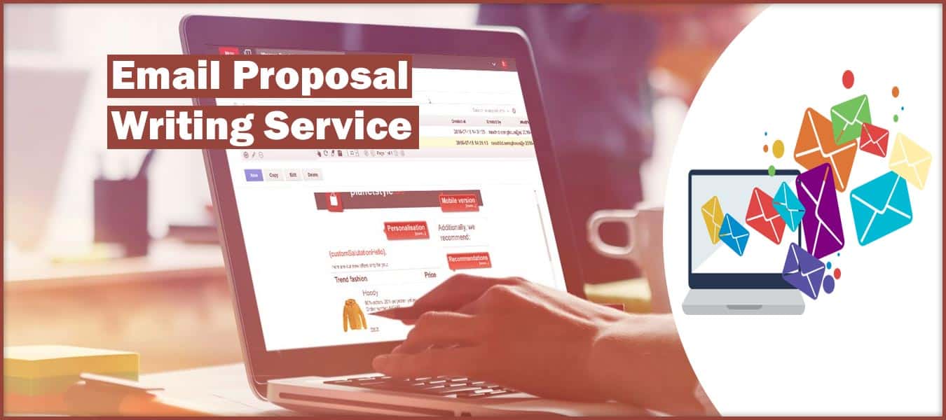Government proposal writing services
