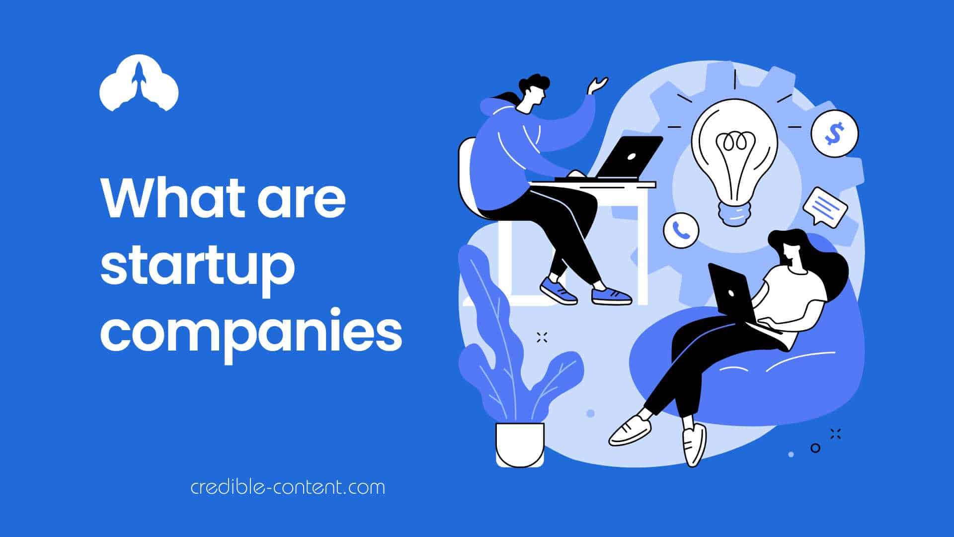 What a startup companies